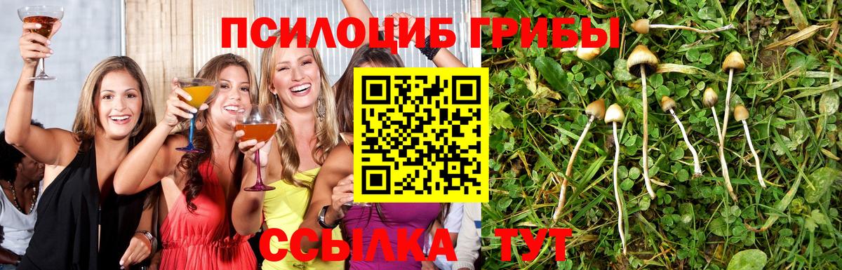 Краснознаменск  магазин  наркотиков  Вход с VPN  Псилоцибиновые грибы MAGIC MUSHROOMS 