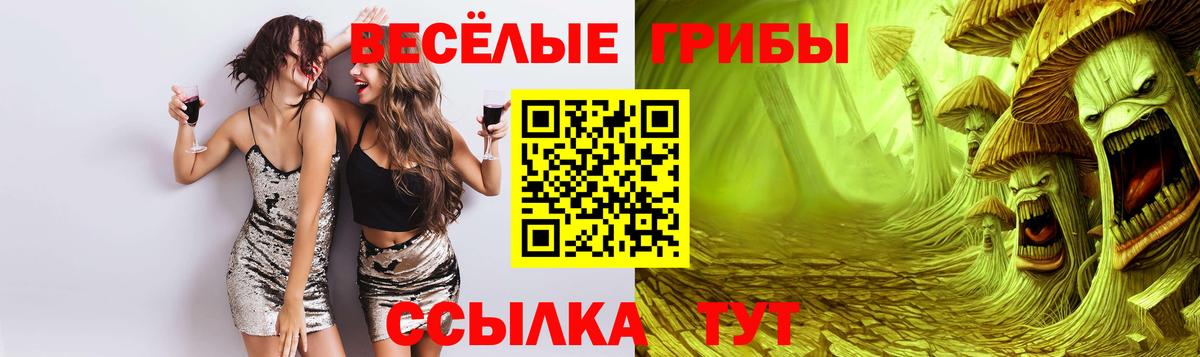 Галлюциногенные грибы мухоморы Краснознаменск